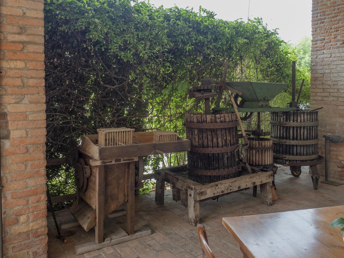 Agriturismo Il Palazzone Montegalda Bagian luar foto